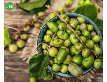 A palántától a betakarításig: A mini-kiwi termesztésének titkai a magyarországi éghajlaton