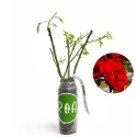 Vörös floribunda rózsa