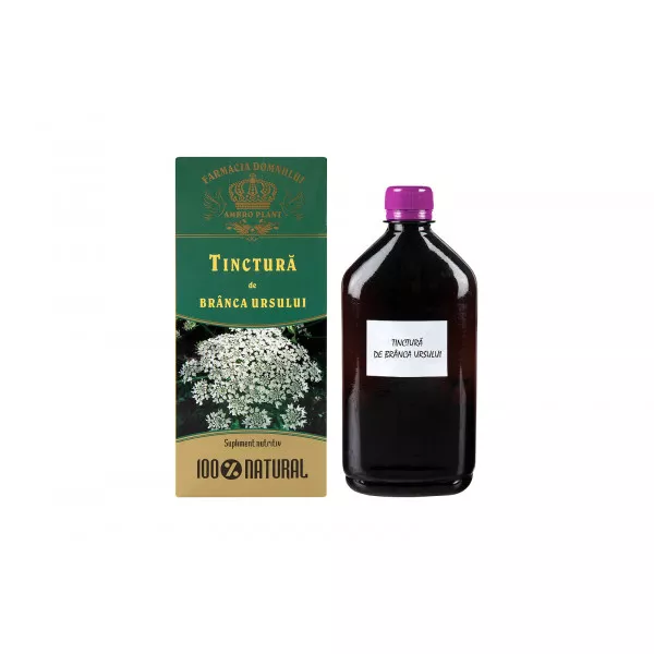 Tinktúra medvetalpból