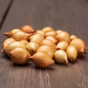 Sárga hagyma Corrado