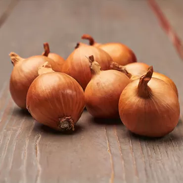 Salottahagyma Golden Gourmet