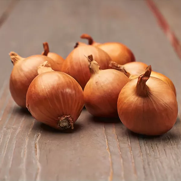Salottahagyma Golden Gourmet