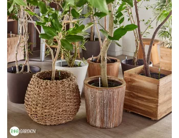 AquaStick SUStee: a japán innováció, amely segít megelőzni a növények túlöntözését és kiszáradását