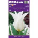 Liliomvirágú tulipán Ballade White