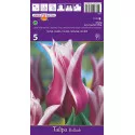Liliomvirágú tulipán Ballade
