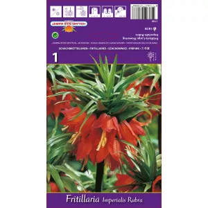 Császárliliom (Fritillaria) Rubra