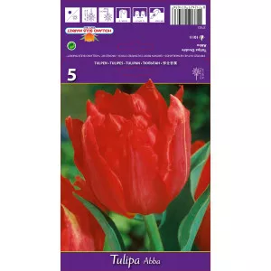 Teltvirágú tulipán Abba