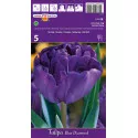 Teltvirágú tulipán Blue Diamond