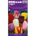 Triumph tulipán színkeverék