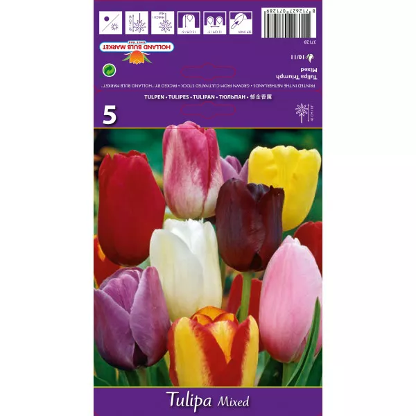 Triumph tulipán színkeverék