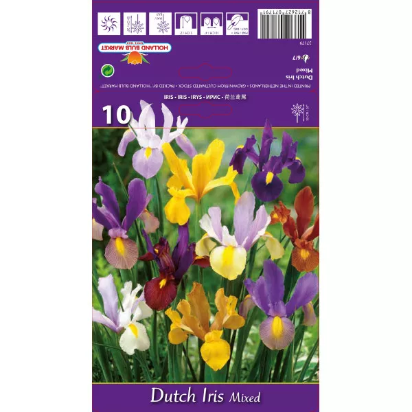 Holland írisz színkeverék