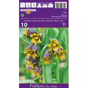 Császárliliom (Fritillaria) Uva vulpis