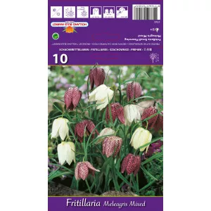 Császárliliom (Fritillaria) Meleagris színkeverék