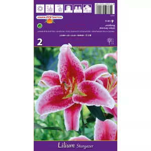 Keleti liliom Stargazer