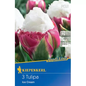 Tulipán Ice Cream