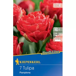 Tulipán Pamplona