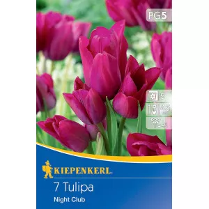 Tulipán Night Club