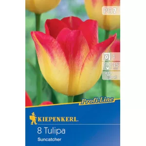 Tulipán Suncatcher