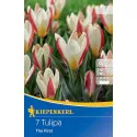 Tulipán The First