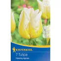 Tulipán Flaming Agrass