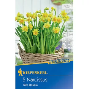 Nárcisz Tete Boucle