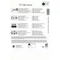 Apró nárcisz színkeverék