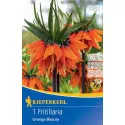 Császárkorona (Fritillaria) Orange Beauty