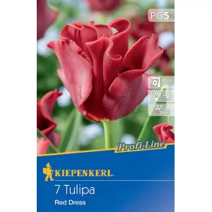 Tulipán Red Dress