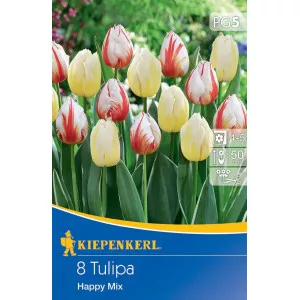 Tulipán Happy színkeverék