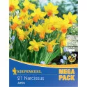 Mega Pack Nárcisz Jetfire
