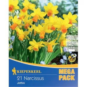 Mega Pack Nárcisz Jetfire