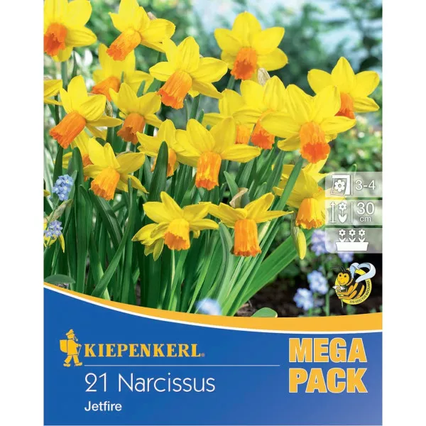 Mega Pack Nárcisz Jetfire