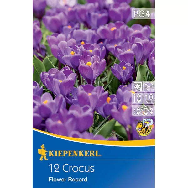 Sáfrány Flower Record