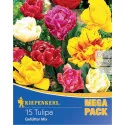 Mega Pack Tulipán színkeverék