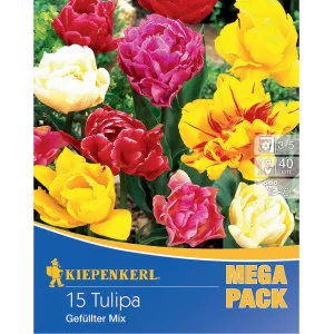 Mega Pack Tulipán színkeverék