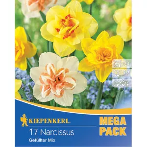 Mega Pack Nárcisz Double színkeverék
