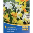 Mega Pack Nárcisz Rock Garden színkeverék