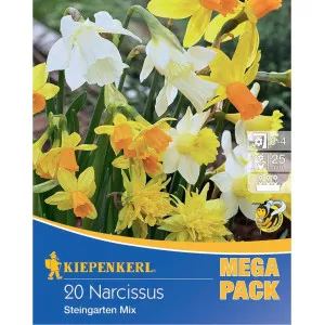 Mega Pack Nárcisz Rock Garden színkeverék