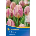 Tulipán Happy Feet