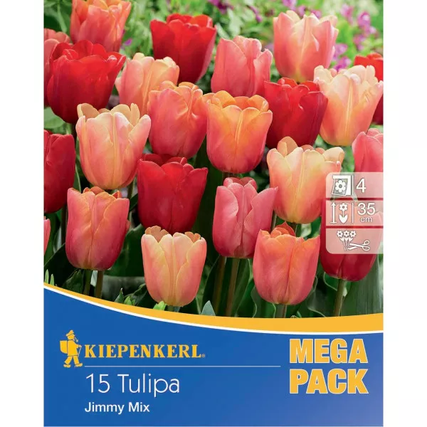 Mega Pack Jimmy színkeverék