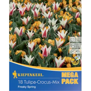 Mega Pack Sáfrány Freaky Spring színkeverék