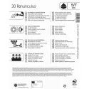 Mega Pack Boglárka színkeverék