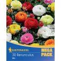 Mega Pack Boglárka színkeverék