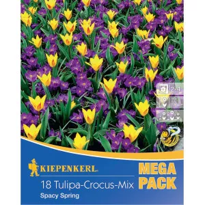 Mega Pack Sáfrány Spacy Spring színkeverék