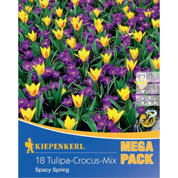 Mega Pack Sáfrány Spacy Spring színkeverék