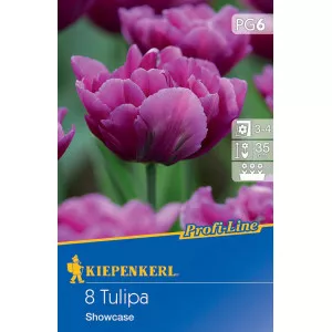 Tulipán Showcase