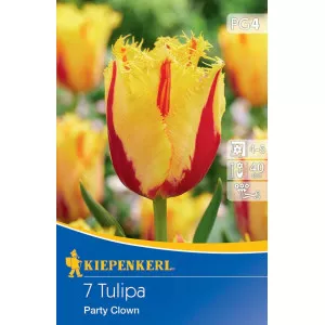 Tulipán Party Clown