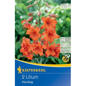 Liliom Fire King