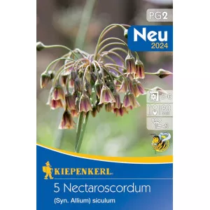Díszfokhagyma Nectaroscordum