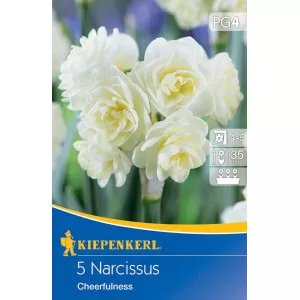 Nárcisz Cheerfulness